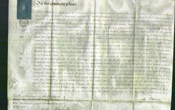 Court of Common Pleas - Anna Johnes-Original Ancestry