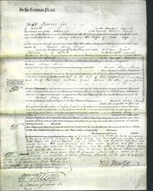 Court of Common Pleas - Mary Ann Loft-Original Ancestry