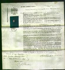 Court of Common Pleas - Elizabeth Carter-Original Ancestry