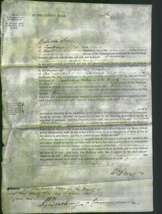 Court of Common Pleas - Francisca Treacher