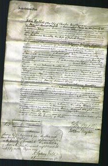 Court of Common Pleas - Catherine Venables Brown-Original Ancestry