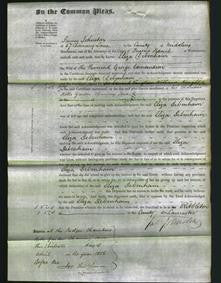 Court of Common Pleas - Eliza Debenham Edmundson-Original Ancestry