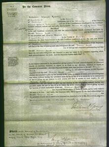 Court of Common Pleas - Frances Ferguson-Original Ancestry