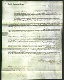 Court of Common Pleas - Elizabeth Edmunds-Original Ancestry