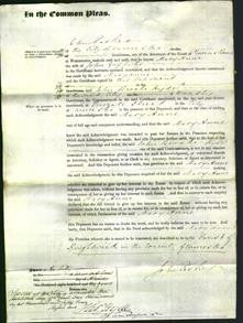 Court of Common Pleas - Mary Anne Griffiths-Original Ancestry