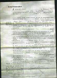 Court of Common Pleas - Ann Taylor-Original Ancestry