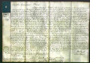 Court of Common Pleas - Peggy Dale-Original Ancestry
