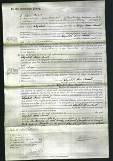 Court of Common Pleas - Elizabeth Moore-Smith-Original Ancestry