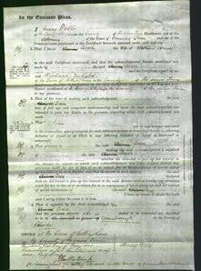 Court of Common Pleas - Ann Alcock-Original Ancestry