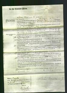 Court of Common Pleas - Sarah Gill and Ann Farrant-Original Ancestry