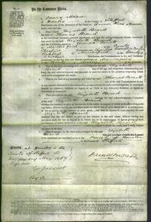 Court of Common Pleas - Elizabeth Brand-Original Ancestry