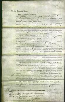 Court of Common Pleas - Mary Crossley and Ann Ward-Original Ancestry