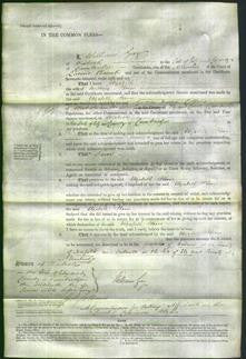 Court of Common Pleas - Elizabeth Horn-Original Ancestry