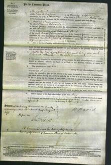 Court of Common Pleas - Ann Edwards-Original Ancestry