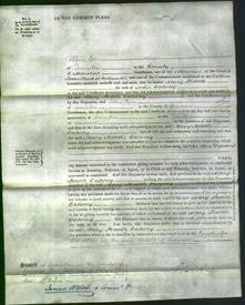 Court of Common Pleas - Mary Peddle Oatway-Original Ancestry