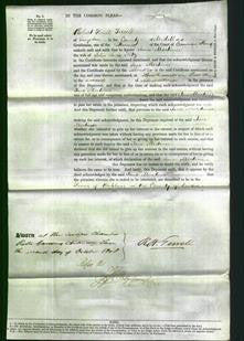 Court of Common Pleas - Jane Mortimer Kitz-Original Ancestry