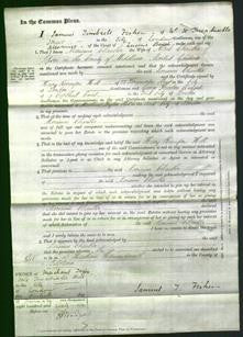 Court of Common Pleas - Marianne Chautler-Original Ancestry