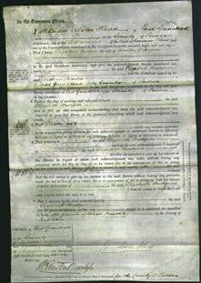 Court of Common Pleas - Elizabeth Budgen-Original Ancestry