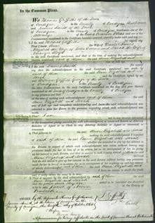 Court of Common Pleas - Anne James, Elizabeth Owens and Sarah Lloyd-Original Ancestry