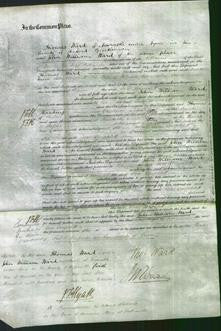 Court of Common Pleas - Mary Ann Jupp-Original Ancestry