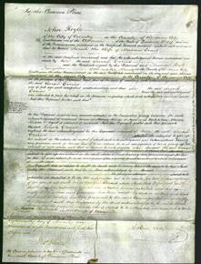 Court of Common Pleas - Sarah Evans-Original Ancestry