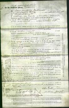 Court of Common Pleas - Ann Sarah Clift-Original Ancestry