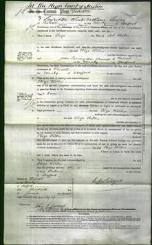 Court of Common Pleas - Eliza Wilkes-Original Ancestry