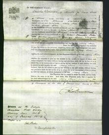 Court of Common Pleas - Mary Ann Libon-Original Ancestry