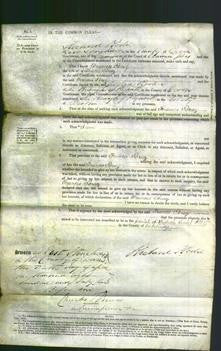 Court of Common Pleas - Frances Bray-Original Ancestry