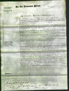 Court of Common Pleas - Sarah Taylor-Original Ancestry