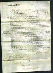 Court of Common Pleas - Elizabeth Collins, Lydia Payne and Phebe Smith-Original Ancestry