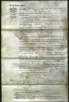 Court of Common Pleas - Isabella Dorothy Ojhe-Original Ancestry
