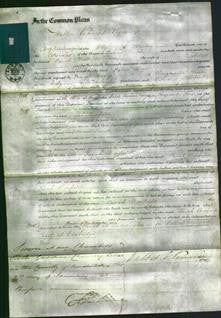 Court of Common Pleas - Sarah Bonfield-Original Ancestry