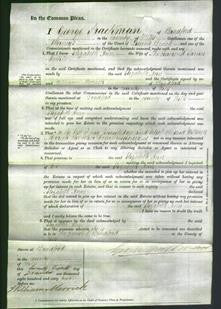 Court of Common Pleas - Elizabeth Ann Tackle-Original Ancestry