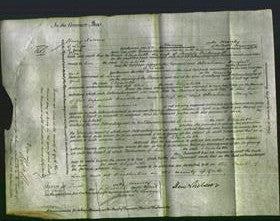 Court of Common Pleas - Elizabeth Pickersgill-Original Ancestry