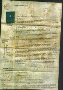 Court of Common Pleas - Anne Brown-Original Ancestry