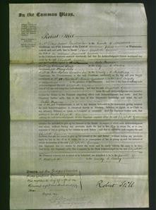 Court of Common Pleas - Elizabeth Gomin-Original Ancestry