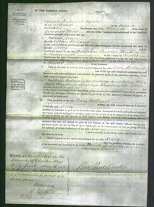 Court of Common Pleas - Mary Holland-Original Ancestry