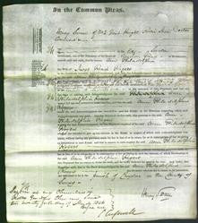 Court of Common Pleas - Ann Philadelphia Rogers-Original Ancestry