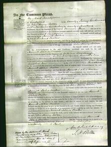 Court of Common Pleas - Harriett Sophia Onslow-Original Ancestry