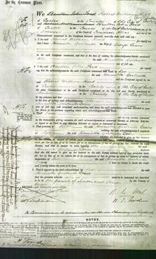 Court of Common Pleas - Henrietta Gertrude Evans-Original Ancestry