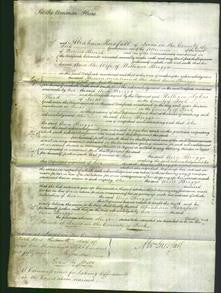 Court of Common Pleas - Ann Briggs-Original Ancestry