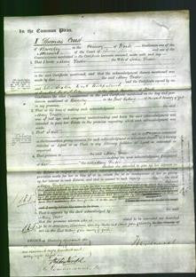 Court of Common Pleas - Mary Foster-Original Ancestry