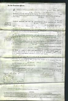 Court of Common Pleas - Sophia Street-Original Ancestry