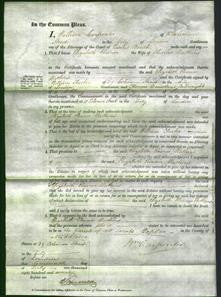 Court of Common Pleas - Elizabeth Eleanor Watkins-Original Ancestry