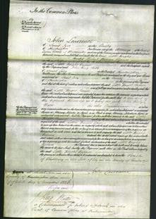 Court of Common Pleas - Little Knight Burnis-Original Ancestry