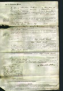 Court of Common Pleas - Eliza Janthe Esdaile-Original Ancestry