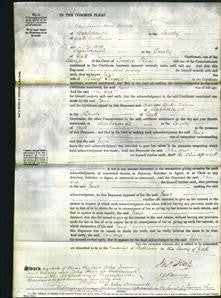 Court of Common Pleas - Jane Lincoln-Original Ancestry