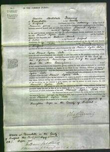 Court of Common Pleas - Harriet Lydia Lake-Original Ancestry