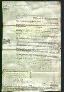 Court of Common Pleas - Jane Cowdery-Original Ancestry
